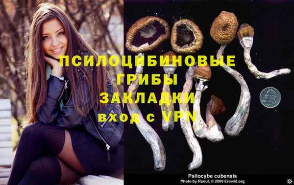 крисы Осташков
