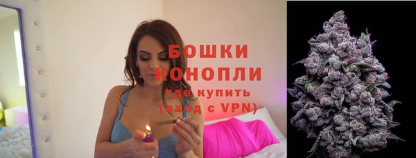 крисы Осташков
