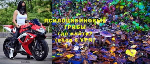 крисы Осташков