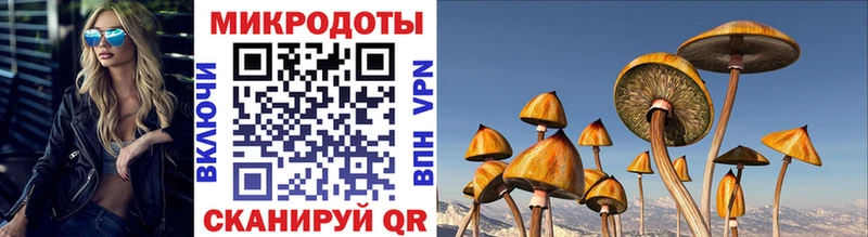 Галлюциногенные грибы Cubensis  закладка  Пролетарск 